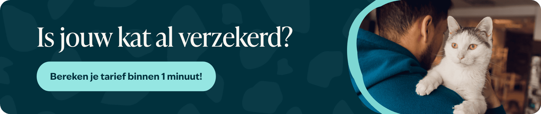 Blog banner 2 Is jouw hond al verzekerd Desktop &ndash; BENL