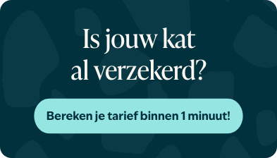 Blog banner Is jouw kat al verzekerd Mobiel &ndash; BENL