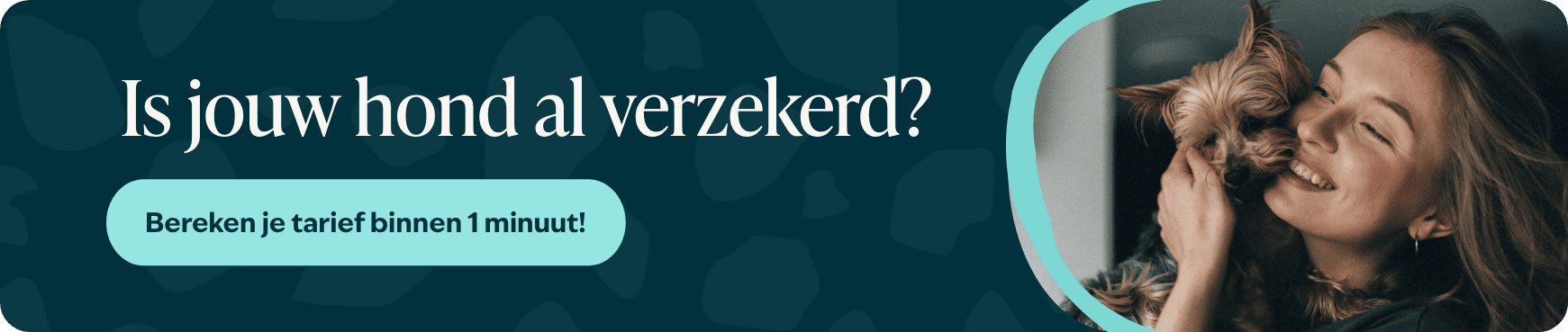 Blog banner 1 Is jouw hond al verzekerd Desktop &ndash; BENL