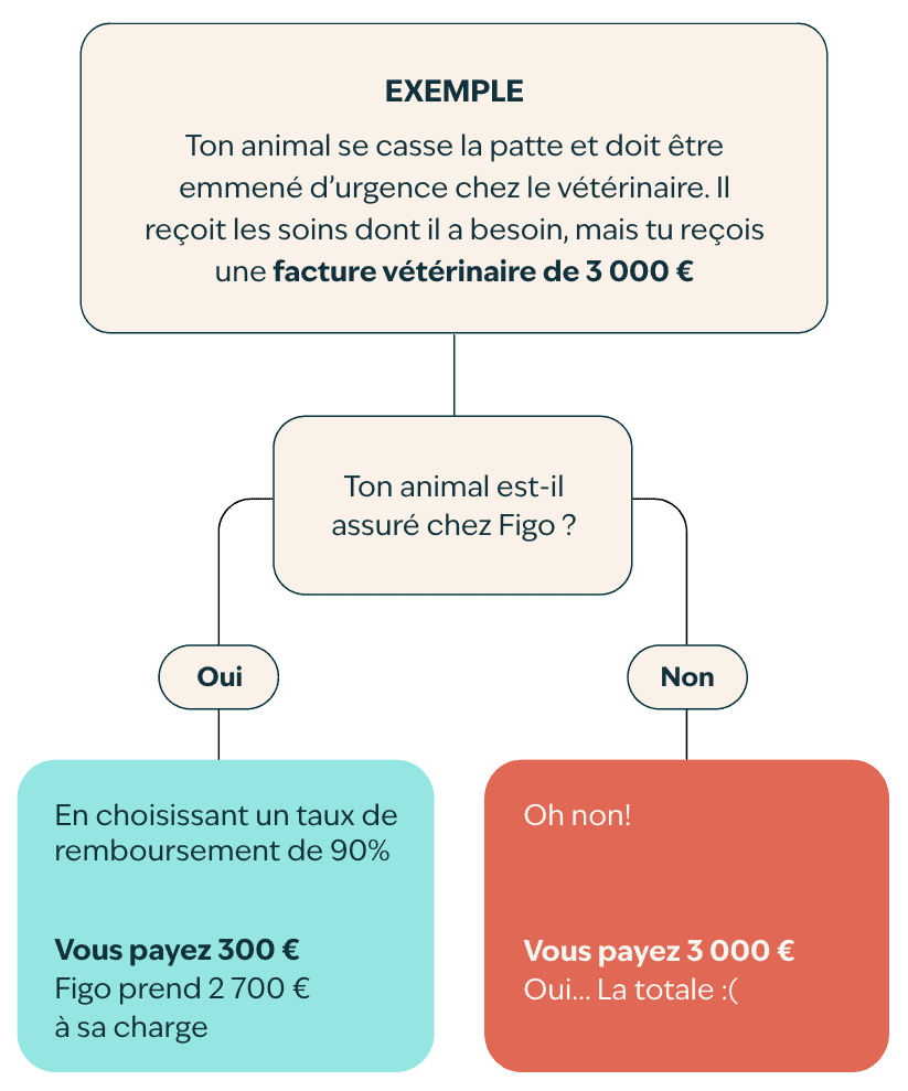 Organigramme des co&ucirc;ts v&eacute;t&eacute;rinaires