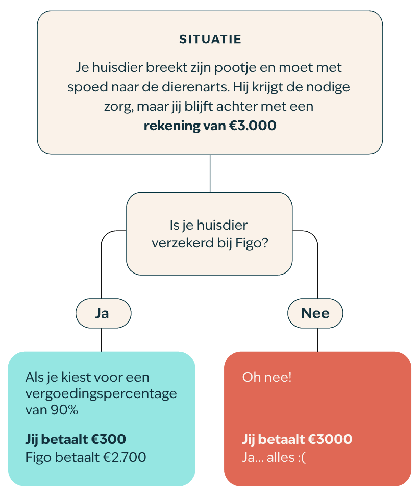 Stroomschema van dierenartskosten
