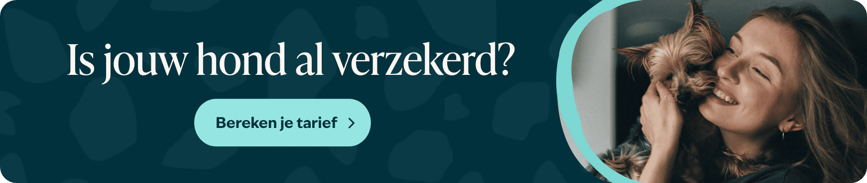 Blog banner 1 Is jouw hond al verzekerd Desktop &ndash; BENL