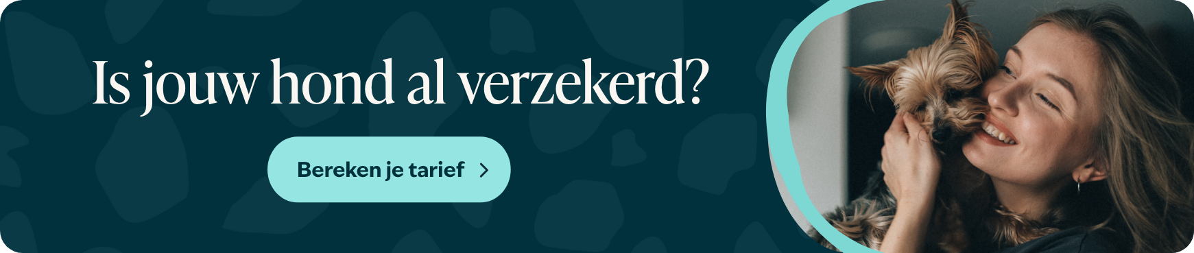 Blog banner 1 Is jouw hond al verzekerd Desktop – BENL