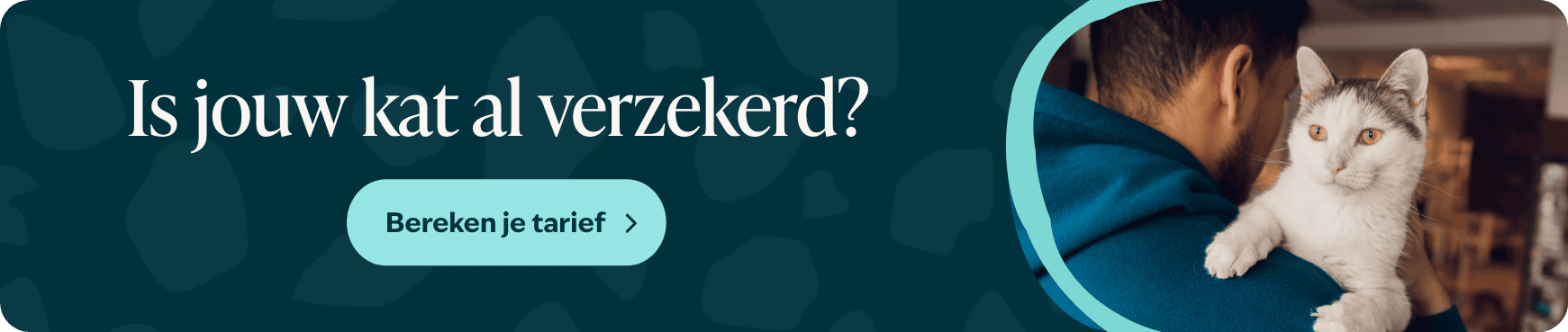 Blog banner 2 Is jouw hond al verzekerd Desktop &ndash; BENL