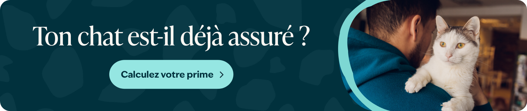 Blog banner 2 Is jouw hond al verzekerd Desktop BEFR