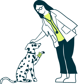 Illustration vet and dog
