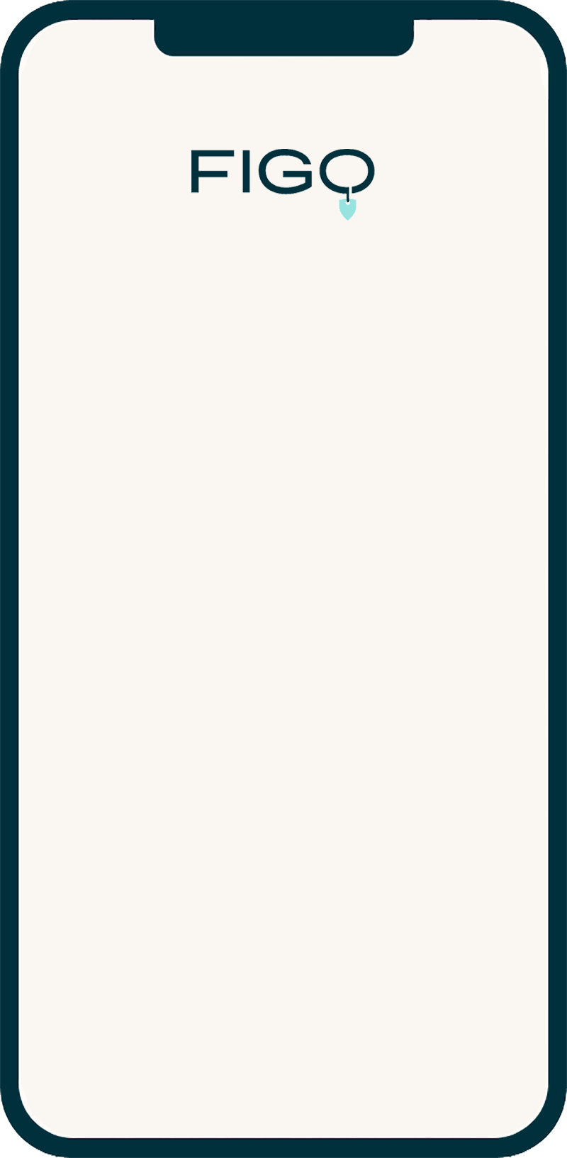 Animation price in funnel