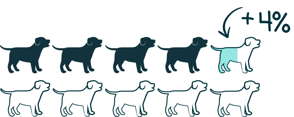 solidarity principle More customers 1 1