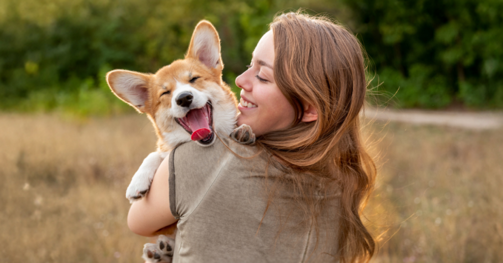 Google 1200x628 Dog C