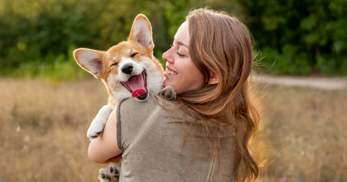 Google 1200x628 Dog C