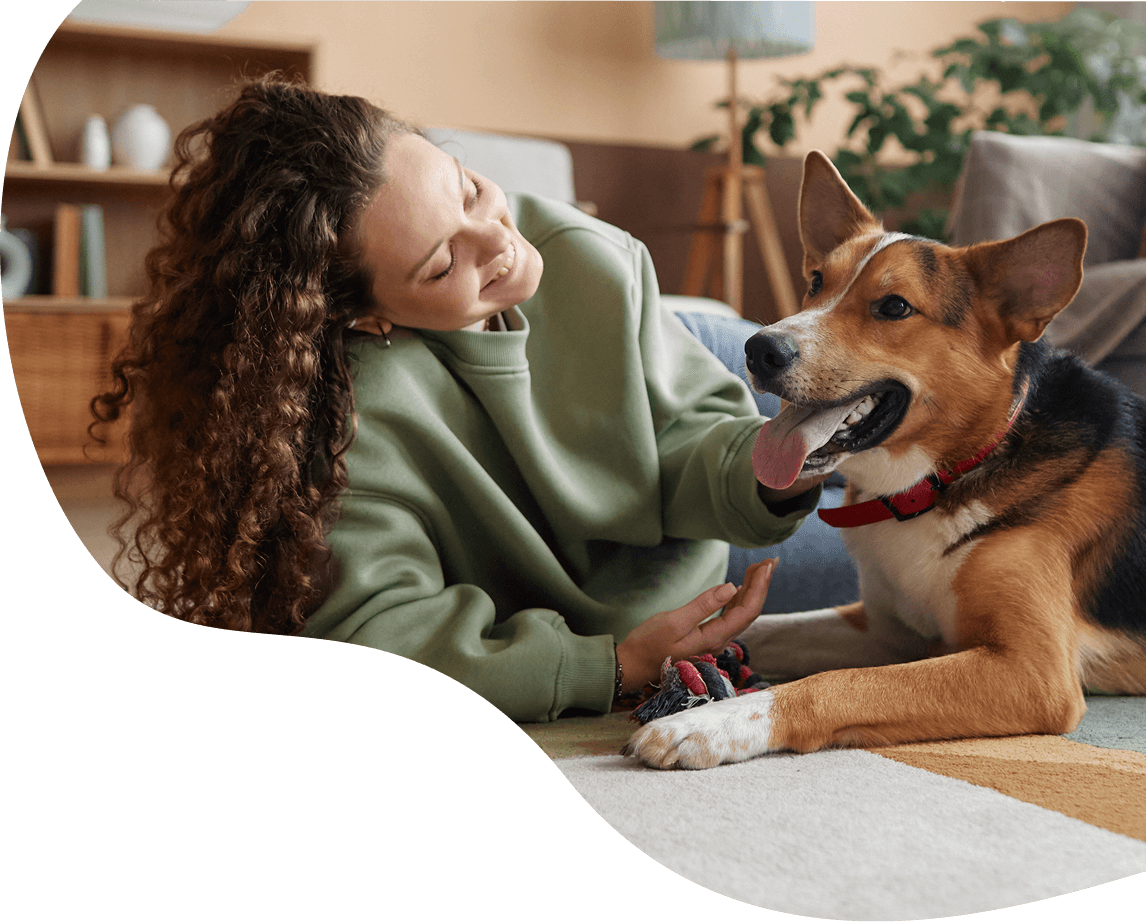 figo hero image blob right 01