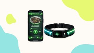 Laat telefoon zien met katten afspeellijst en fictieve AI-halsband