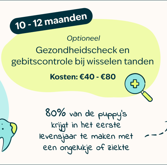 Mobile-Puppy-page-Inforgrafic-puppy-Frame-5.png