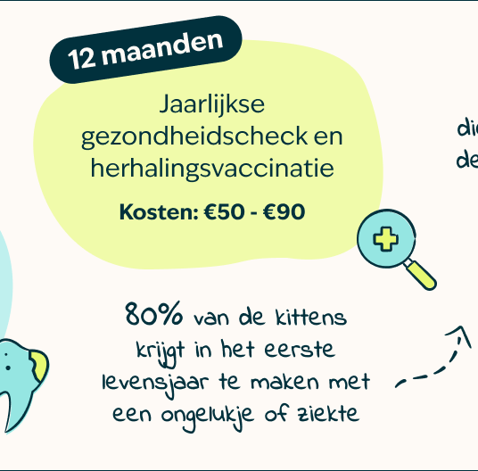 Mobile-kitten-page-Inforgrafic-kitten-Frame-5.png