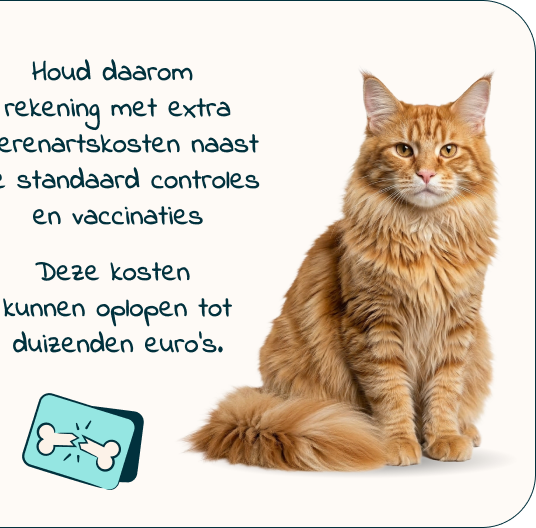 Mobile-kitten-page-Inforgrafic-kitten-Frame-6.png