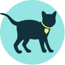 kitten icon 1 1