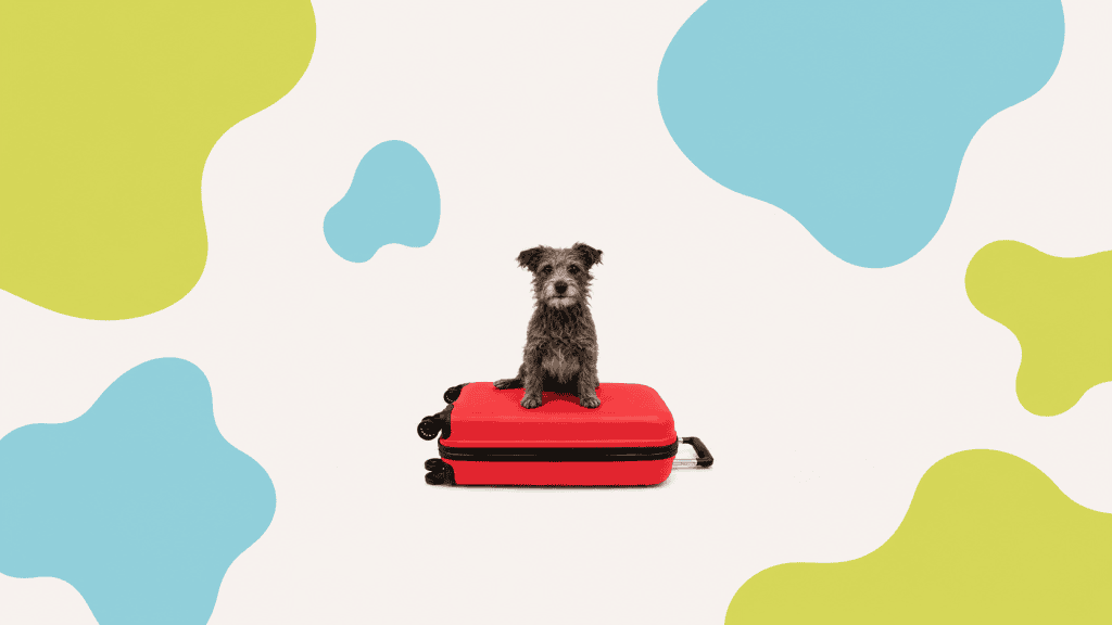 Hond die op rode koffer staat