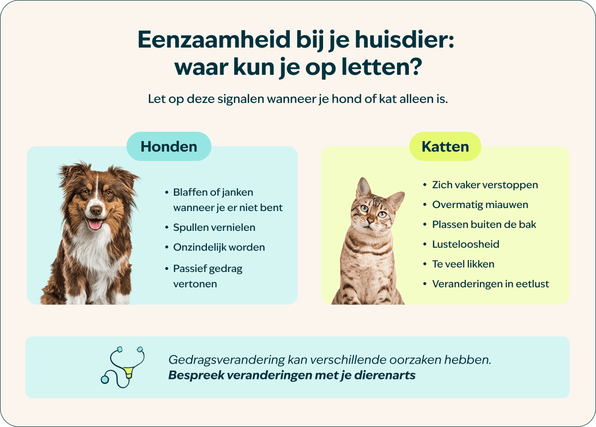 Waar kun je op letten