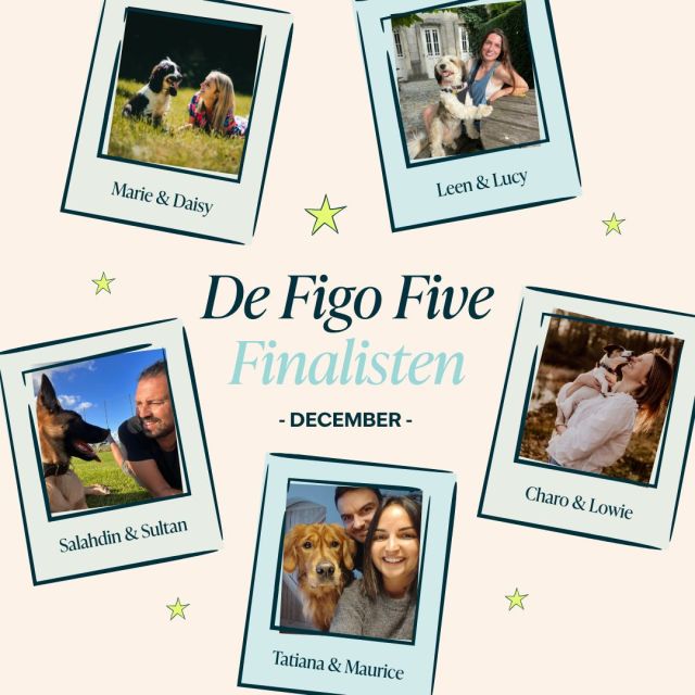 ⭐ WINACTIE DECEMBER GESLOTEN ⭐

Dit zijn de laatste vijf finalisten die kans maken op een 5-sterren overnachting met hun huisdier in het @hiltonantwerp 😱  En jij bepaalt wie er wint! 🫵🏼

Stem tot en met 2 januari 9:00 uur op jouw favoriete foto door middel van het liken van onze comments in deze reactie👇 of door het liken van onze comments op @figopet_belgique
*
*
*
#figopet #DreamStay #PetFriendly #Giveaway #LinkInBio #HiltonAntwerp