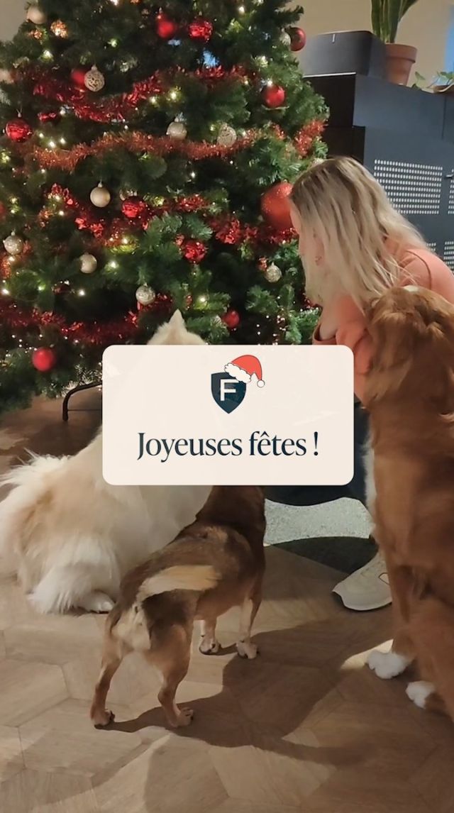 L'équipe Figo et nos chiens de bureau vous souhaitent à tous de joyeuses fêtes ! ❤️
*
*
*
#Noël #Christmas  #figopet #ouifigopet #assuranceanimaux #AssuranceAnimauxDomestiques