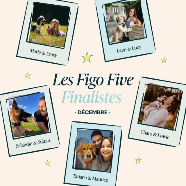 ⭐ CONCOURS DÉCEMBRE TERMINÉ ⭐ 

Voici les cinq derniers finalistes qui ont la chance de remporter une nuitée 5 étoiles avec leur animal de compagnie au @hiltonantwerp 😱 Et c'est vous qui décidez du gagnant ! 🫵🏼

Votez jusqu'au 2 janvier à 9h00 pour votre photo préférée en likant nos commentaires dans cette publication👇 ou en likant nos commentaires sur @figopet_belgie 
*
*
*
#figopet #DreamStay #PetFriendly #Giveaway #LinkInBio #HiltonAntwerp