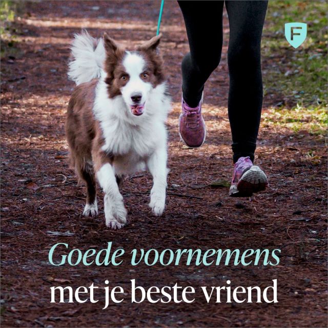 Heb jij het voornemen om in 2024 meer te bewegen? Doe dat dan samen met je beste vriend! 🐶 Op die manier profiteer niet alleen jij, maar ook je maatje ervan, en heb je meteen quality time samen 💚

Heb jij ook goede voornemens samen met je beste vriend?
*
*
*
#goedvoornemen #samenfit #samenbewegen #qualitytime #hond #doglife #dogofinstagram #figopet #jafigopets #huisdierenverzekering #petinsurance